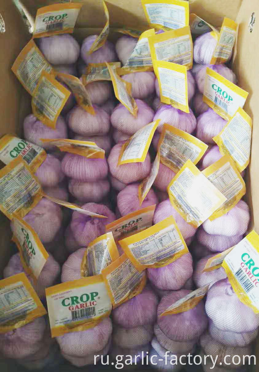 Hot sale garlic in china is jinxiang county garlic ,Garlic from Jinxiang，Planting garlic for decades，Have enough experience to control the quality of garlic products。Make sure people eat garlic healthily.